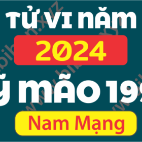 TU VI TUOI KY MAO 1999 NAM 2024 NAM MANG